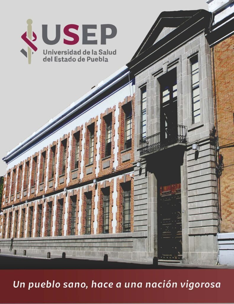 Plan de estudios LMC_Página_13