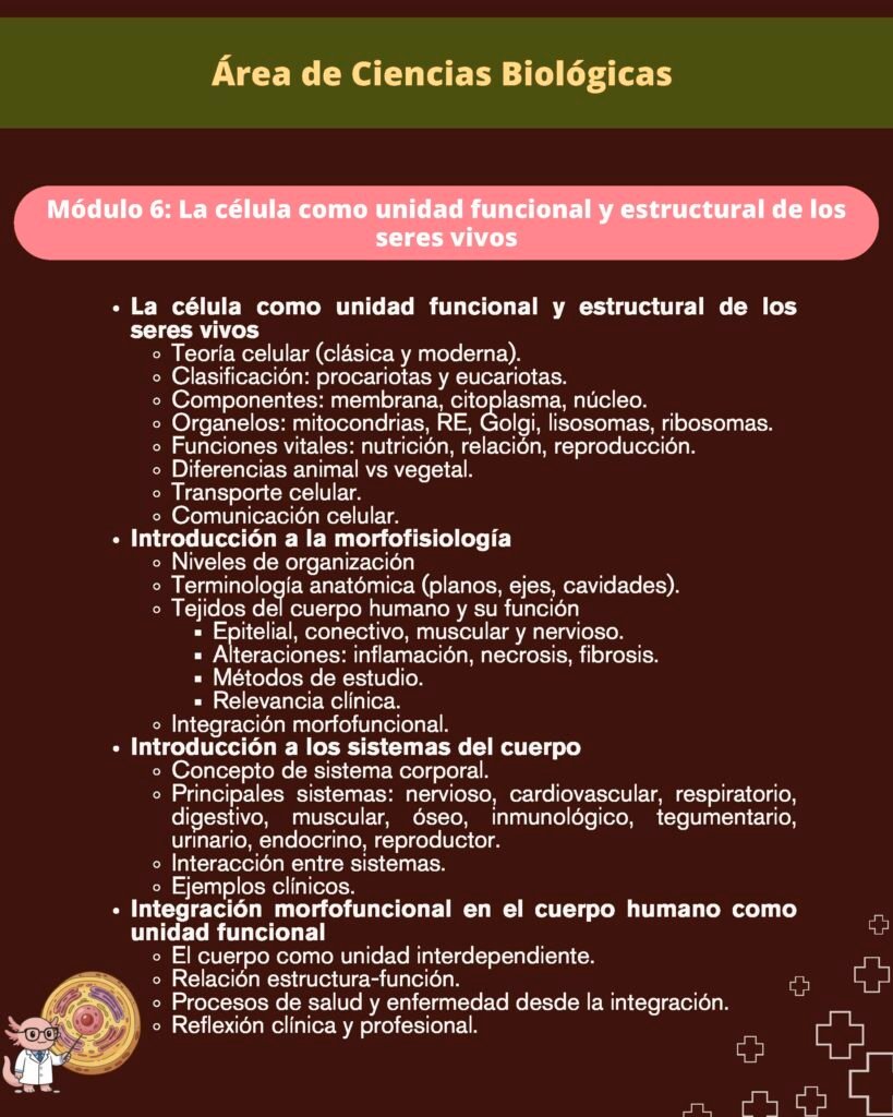 TEMARIO USEP 2025 OFICIAL CPUNI_Página_5